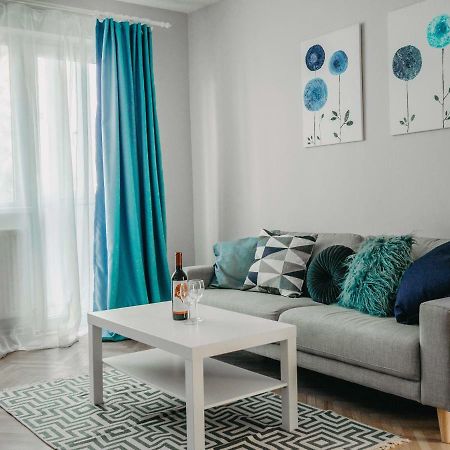 Business And Travel Central Apartment Timisoara Luaran gambar