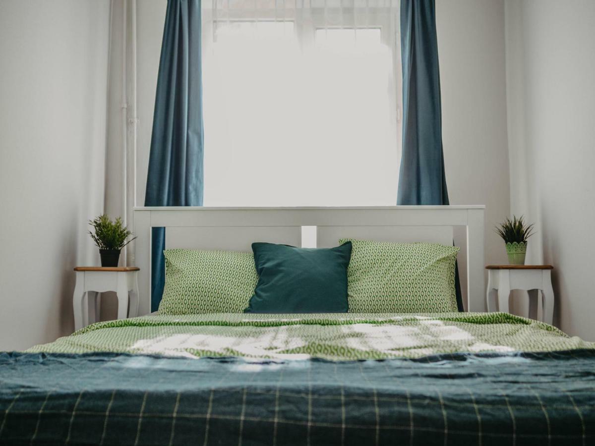 Business And Travel Central Apartment Timisoara Luaran gambar