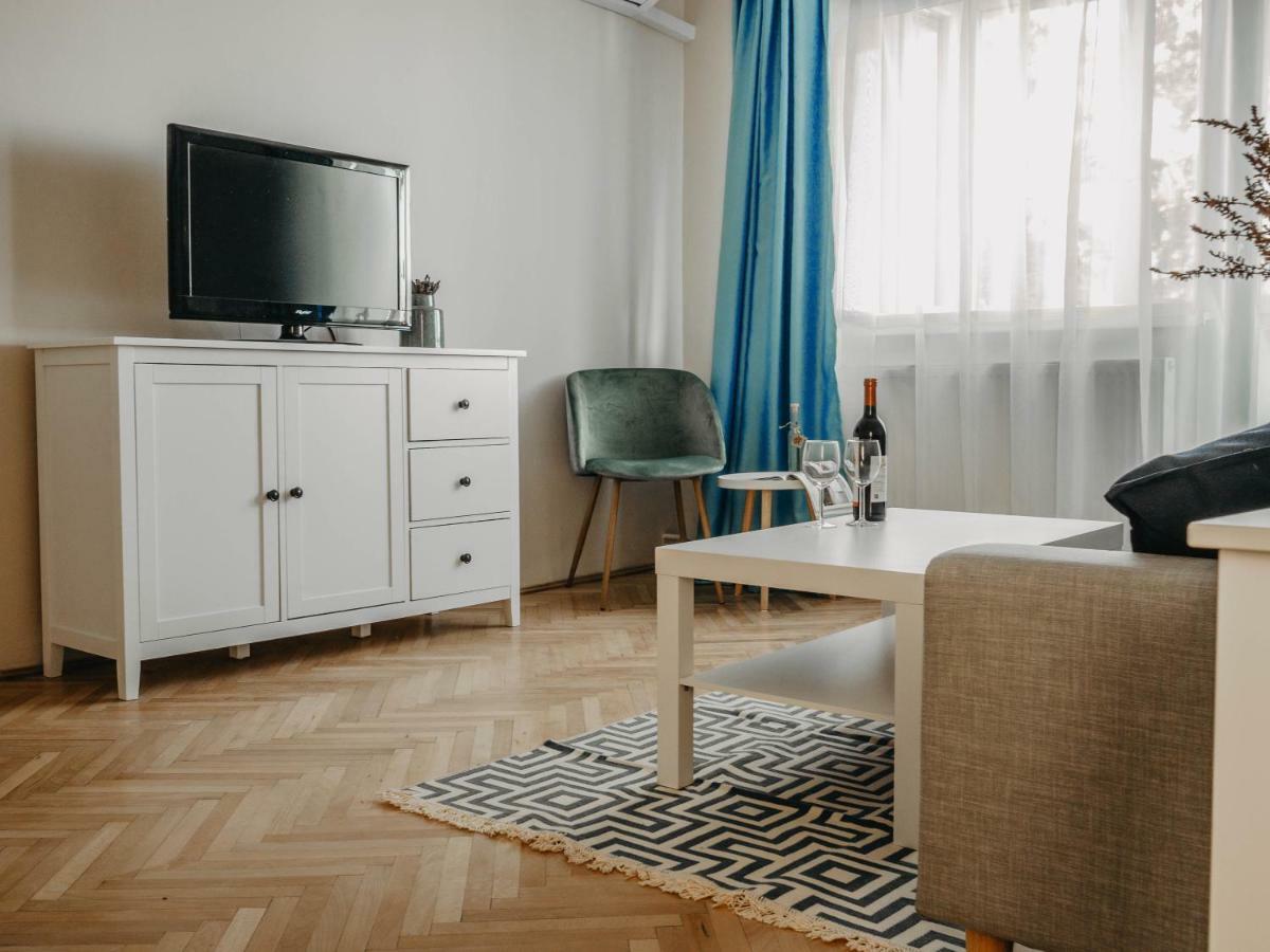 Business And Travel Central Apartment Timisoara Luaran gambar