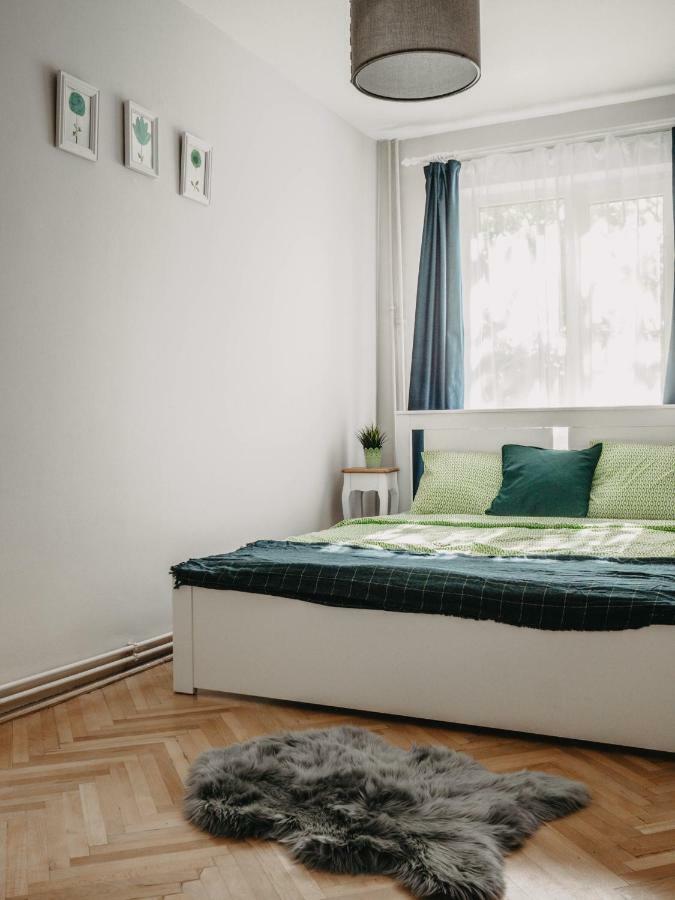 Business And Travel Central Apartment Timisoara Luaran gambar