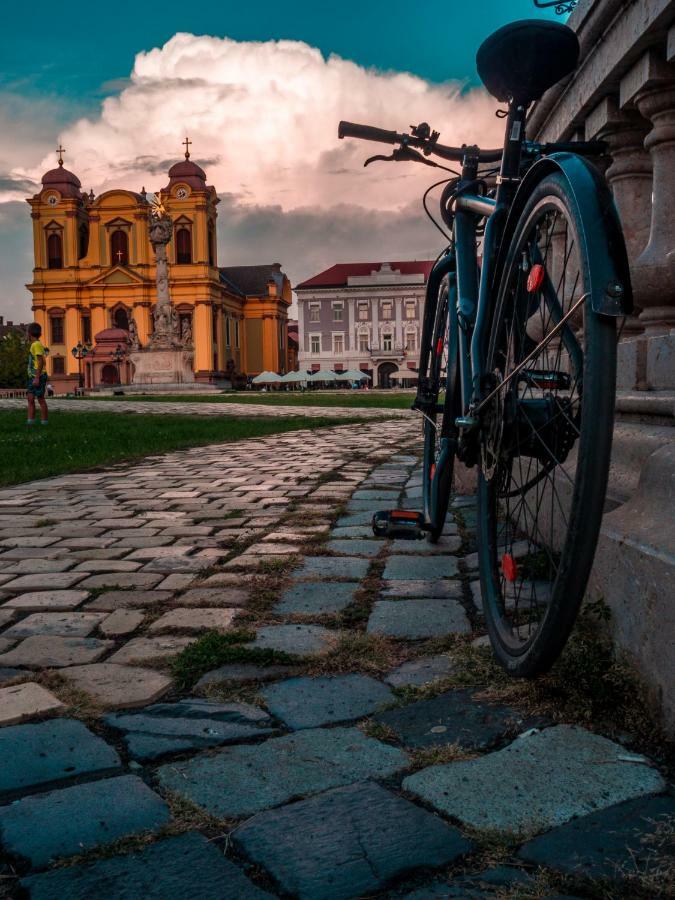 Business And Travel Central Apartment Timisoara Luaran gambar