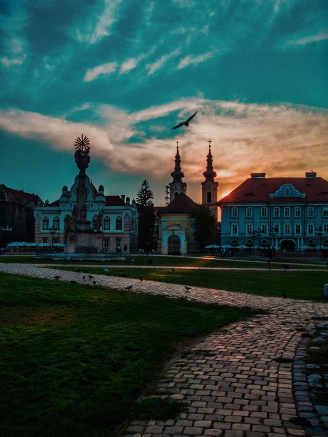 Business And Travel Central Apartment Timisoara Luaran gambar