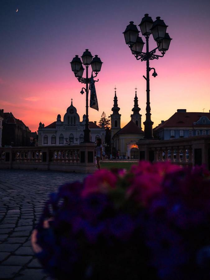 Business And Travel Central Apartment Timisoara Luaran gambar