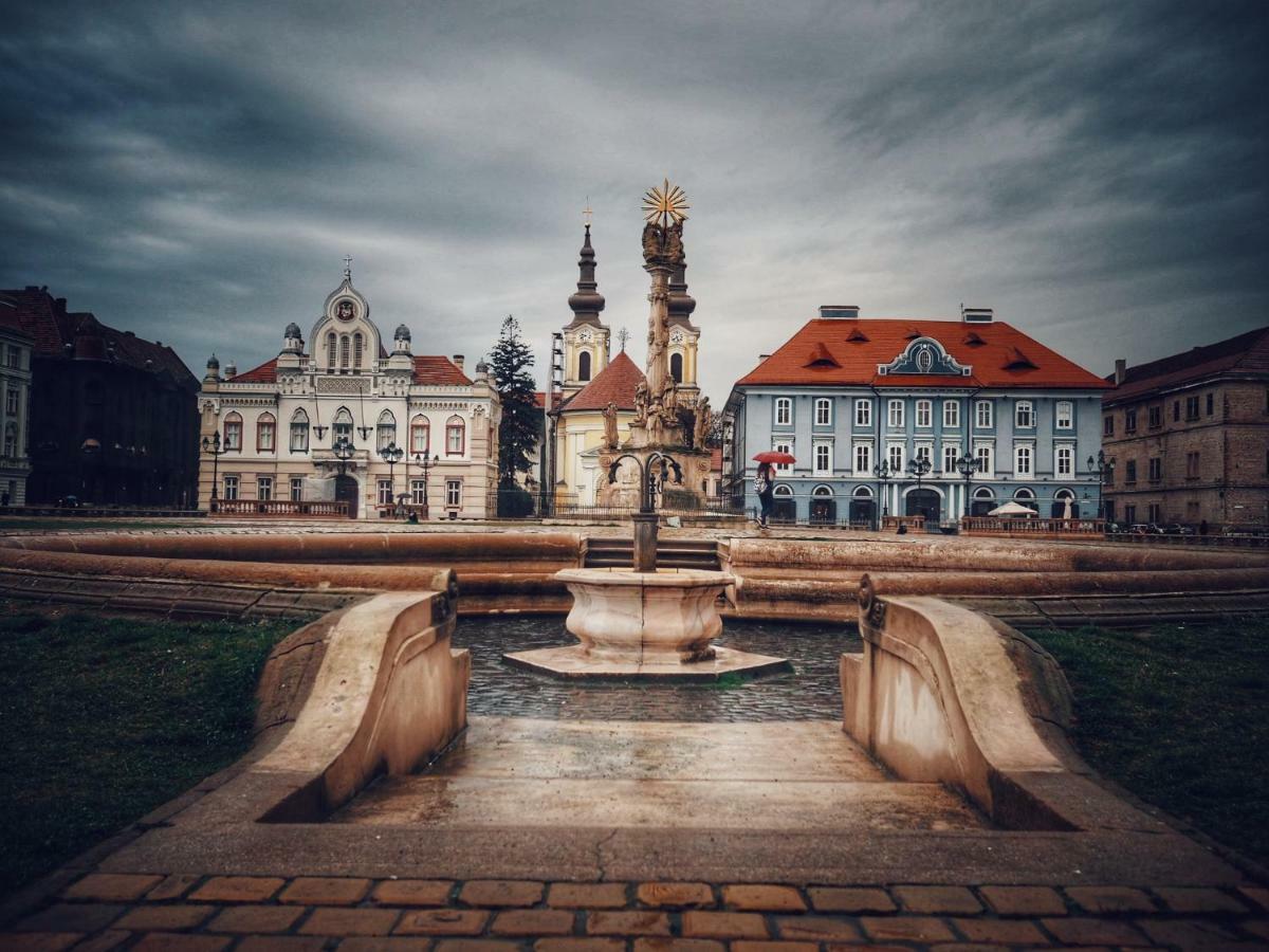 Business And Travel Central Apartment Timisoara Luaran gambar